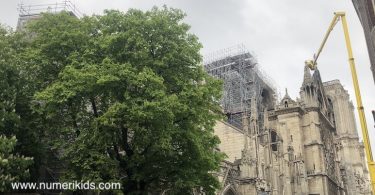 Travaux Notre Dame de Paris 2019